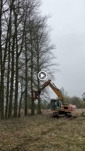 Lordswood Tree Care Ltd