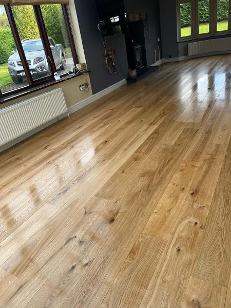 Wood Floor Resolutions