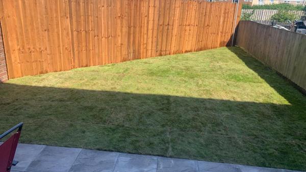Joe's Landscaping & Tree Services