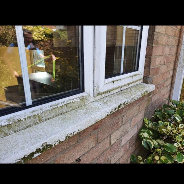 Daisy Shine Window Cleaning