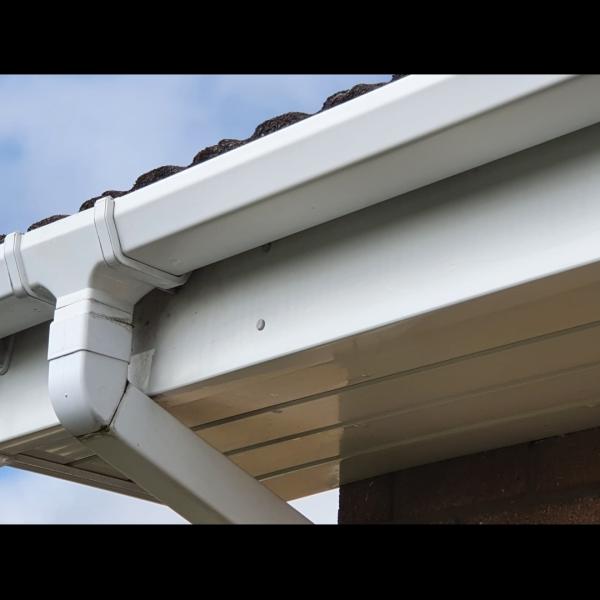 Daisy Shine Window Cleaning