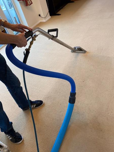 Deep Clean Carpet & Upholstery Cleaning