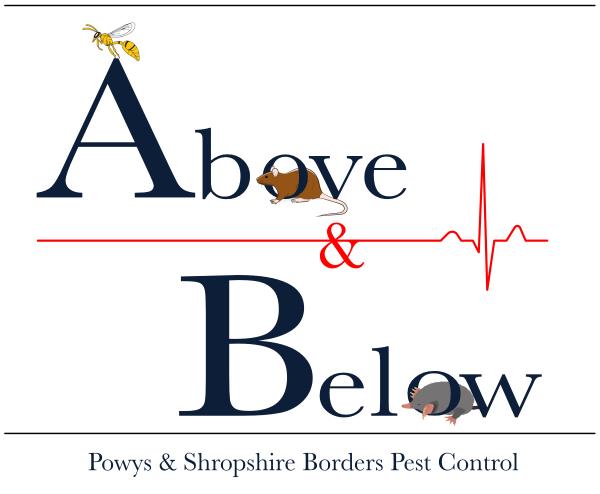 Above and Below Pest Control