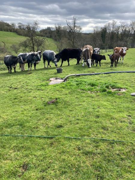 Bourton Liquid Waste Disposal