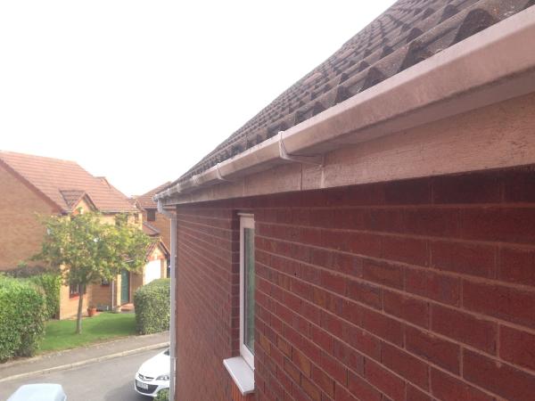 Scrappydio Gutters Cleaning Ltd