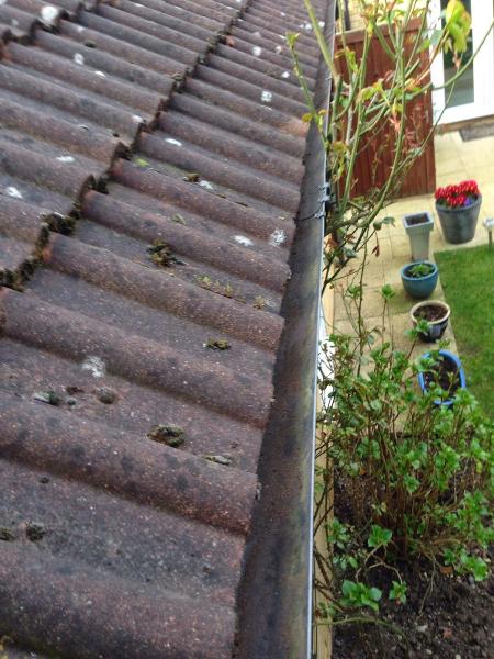 Scrappydio Gutters Cleaning Ltd