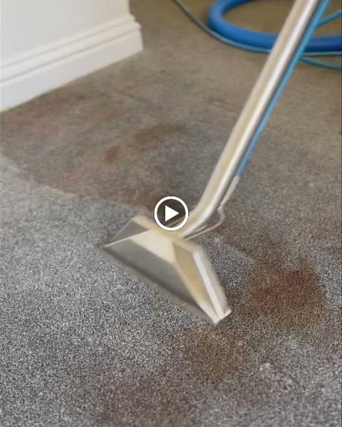 Dr Carpet Cleaning