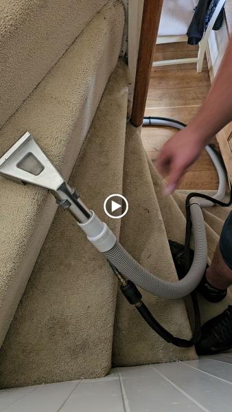 Steam Carpet Cleaning