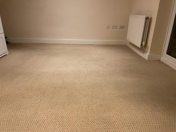 Steam Carpet Cleaning