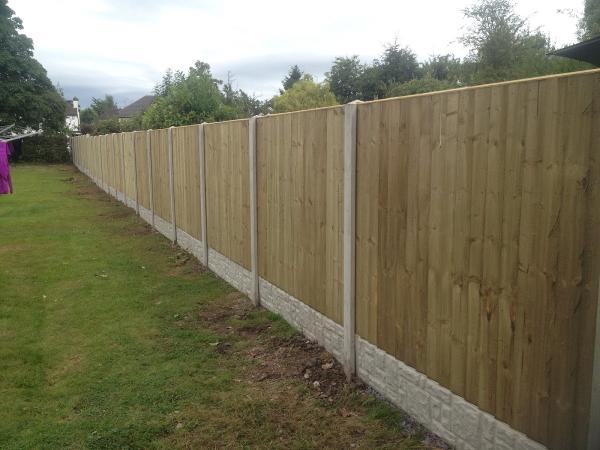Acorn Fencing Gates and Landscaping