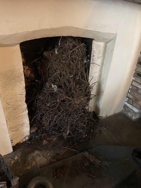 Lee Cursons Chimney Sweeps