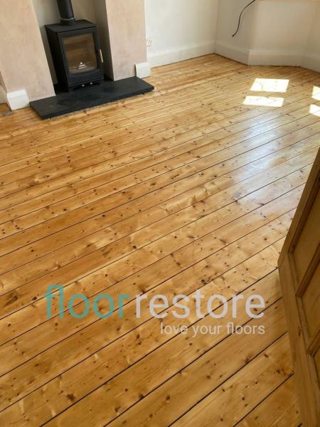 Floor Restore