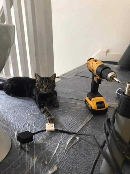 Faversham Flooring Ltd