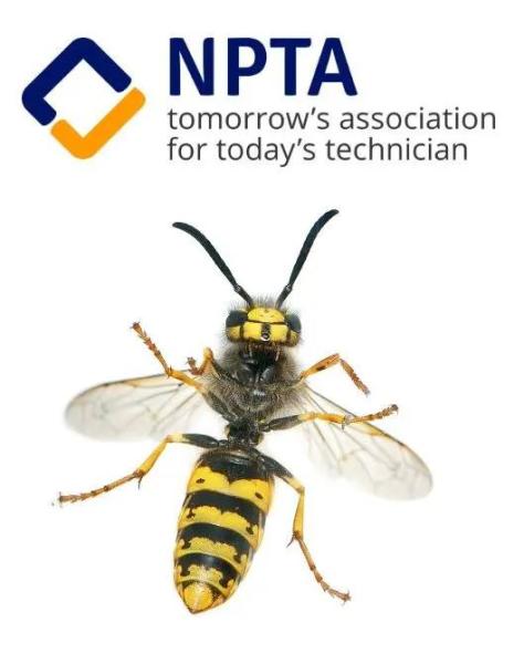 DB Pest Control Services