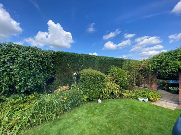 Sam Buxton Tree Services