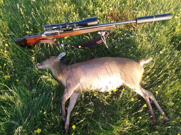 RC Pest Control and Deer Management
