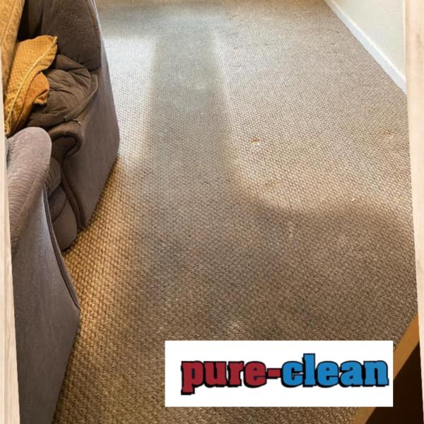 Pure-Clean Carpet & Upholstery Cleaning