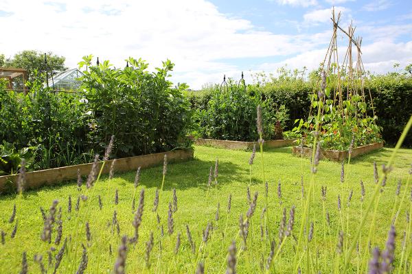 South Hams Fencing & Landscaping