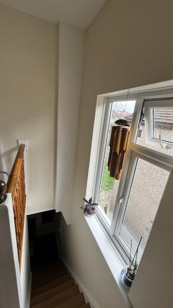 Water Damage Repairs