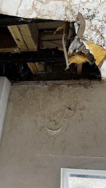 Water Damage Repairs