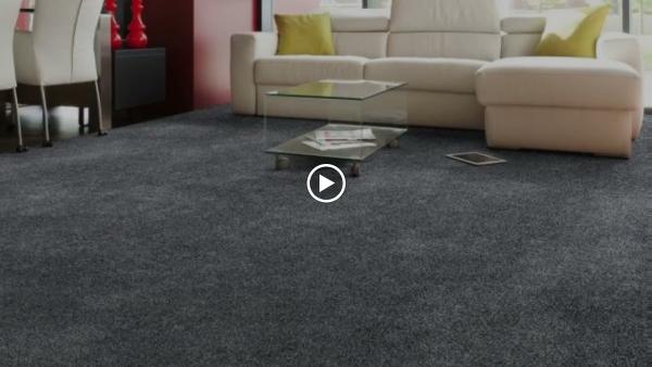 Manor Carpet Clean