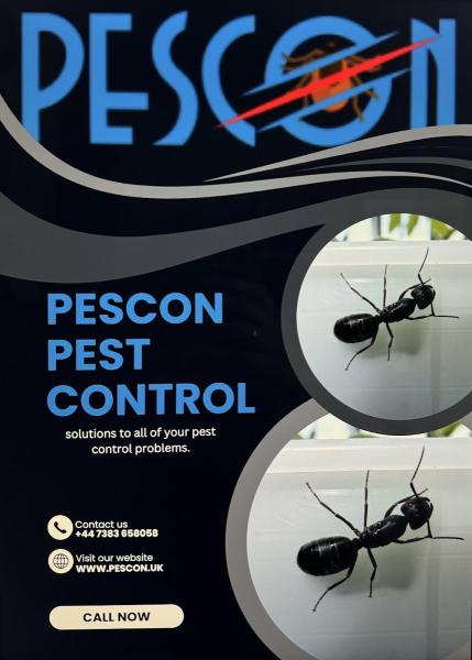 Pescon Pest Control