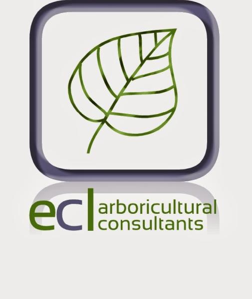 Elliott Consultancy Ltd