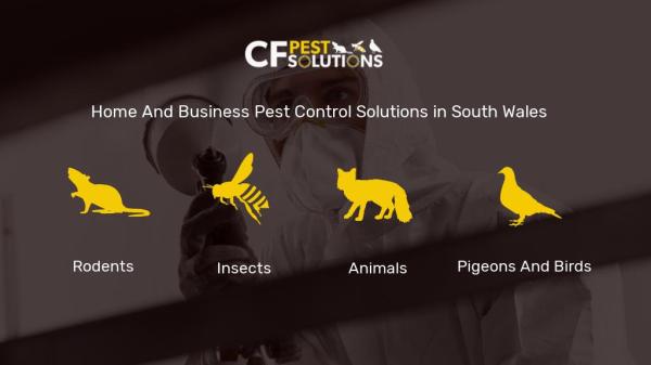 CF Pest Solutions