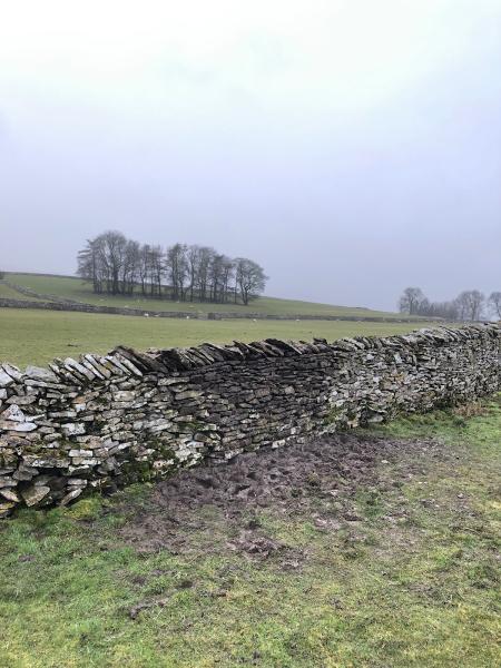 Jack Palmer Stone Walling