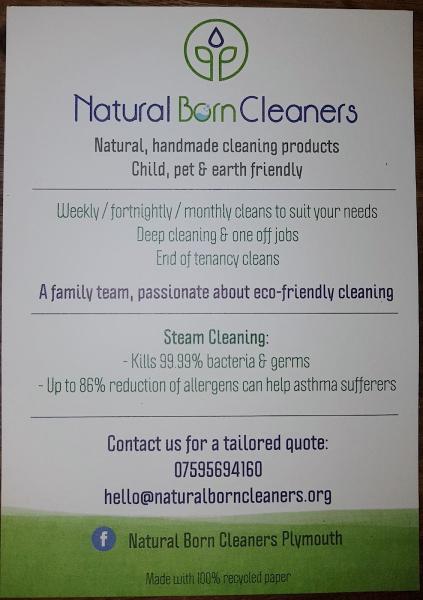 Natural Born Cleaners