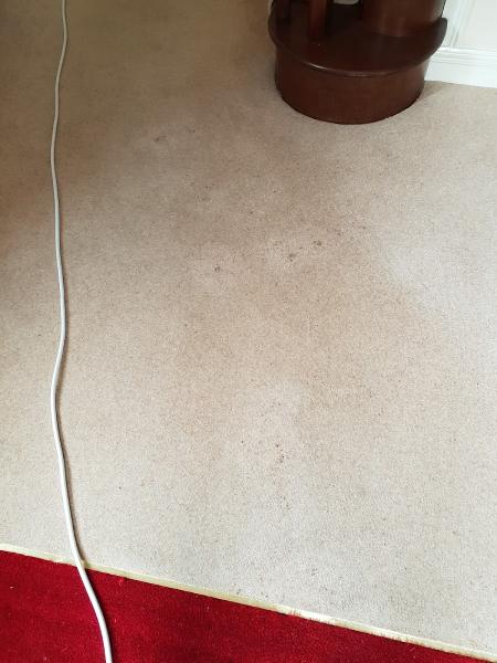 Dave Hyam Carpet Cleaning