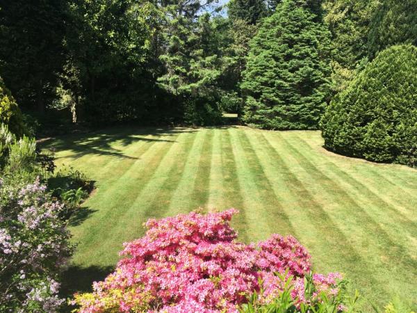 Clent Garden Services