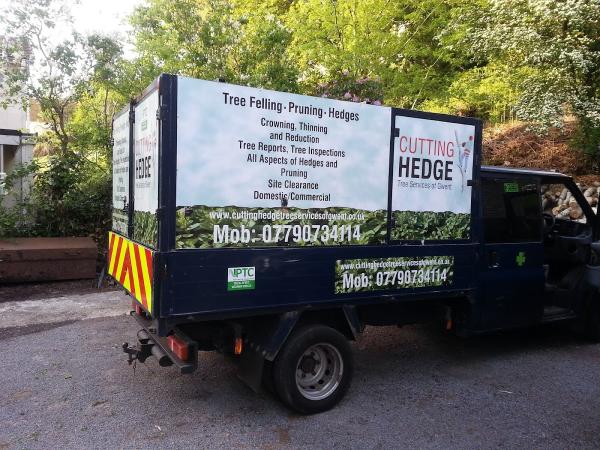 Cutting Hedge Tree Services