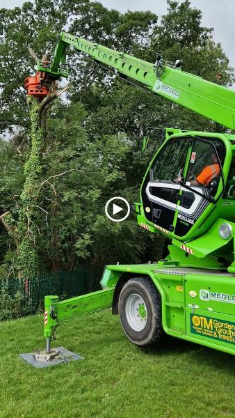 Cutting Hedge Tree Services