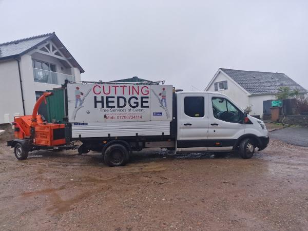 Cutting Hedge Tree Services