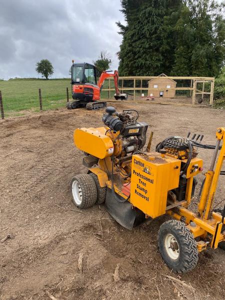 North Wales Stump Grinding