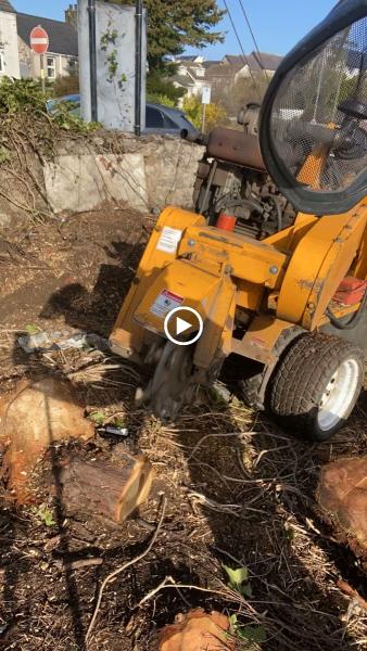 North Wales Stump Grinding