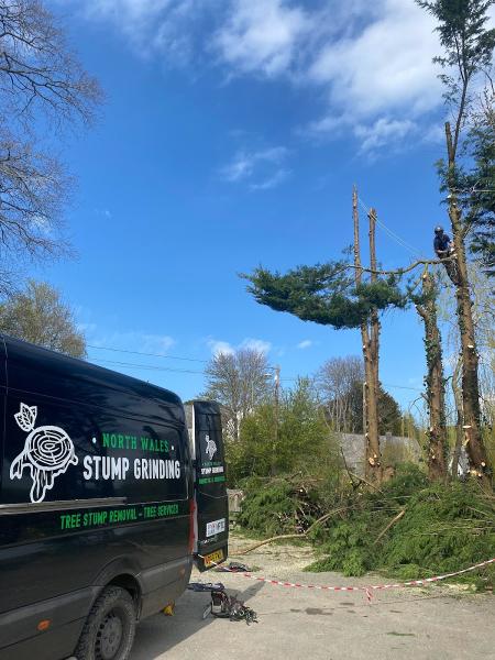 North Wales Stump Grinding