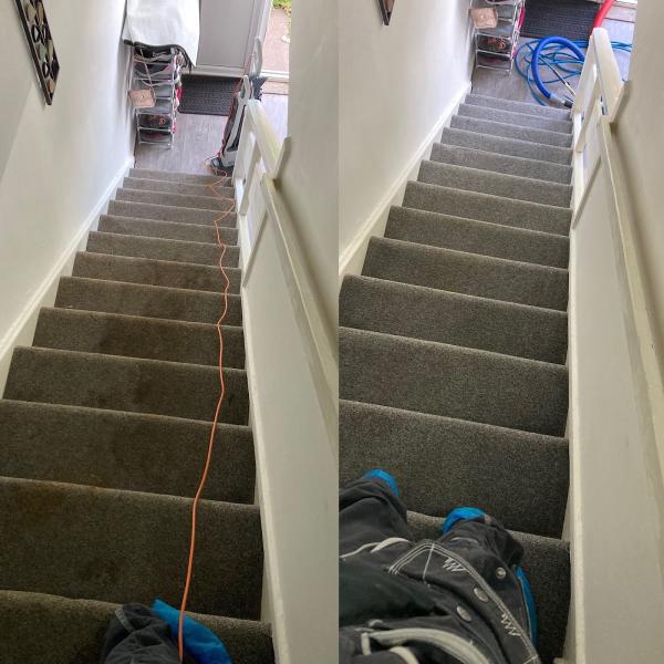Carpet Cleaning Trafford