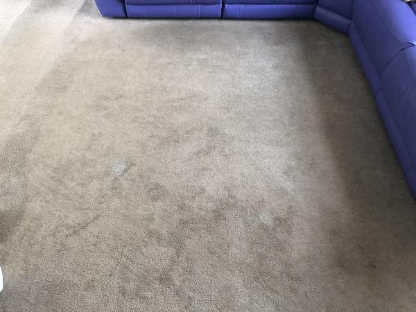Motivated Cleaning (Saffron Walden)