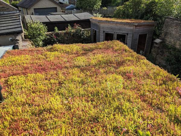 Living Roofs UK