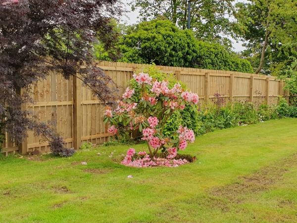 Dundee Fence Builders