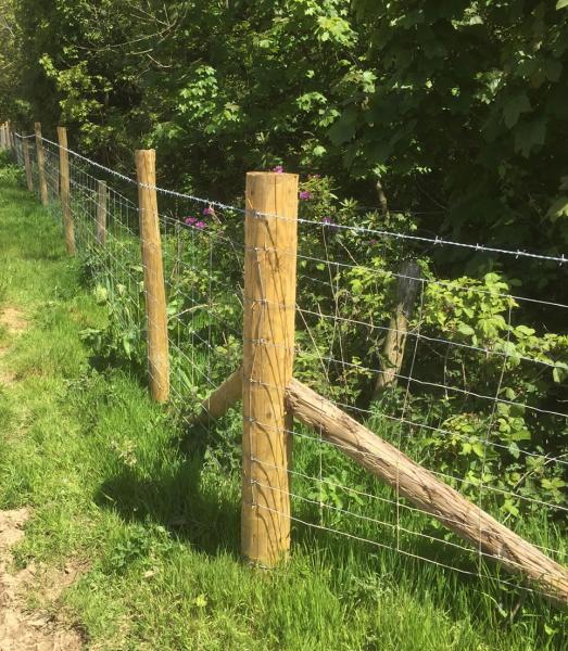 Devon and Cornwall Fencing