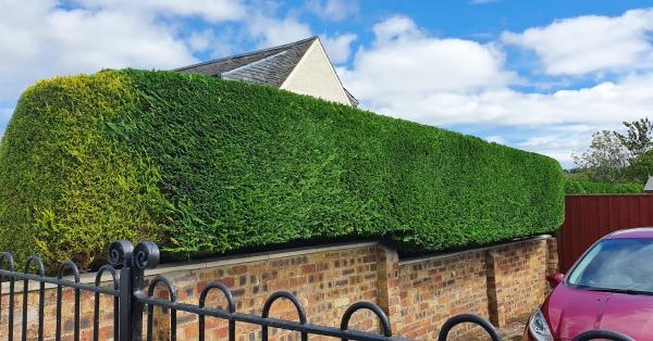 Edinburgh Grass and Hedge Cuts