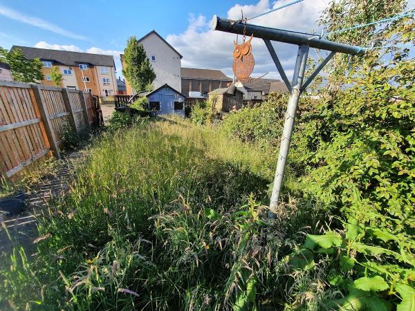 Edinburgh Grass and Hedge Cuts