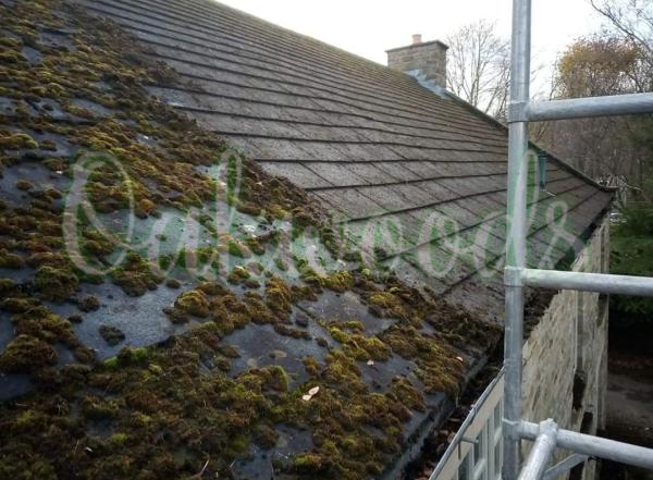Oakwoods Gutter Cleaning Services