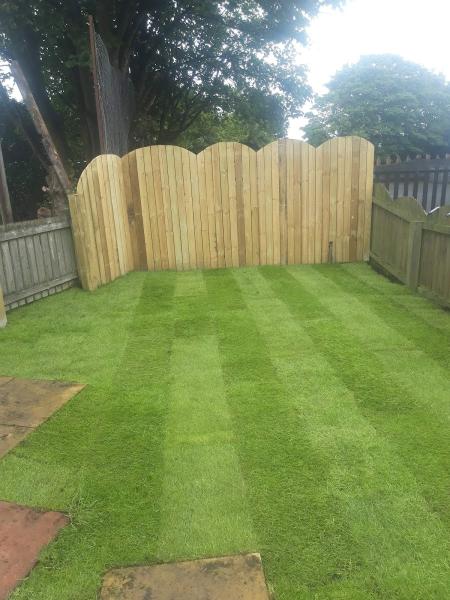 Glasgow Tree Care and Fencing ( Landscape Gardener )