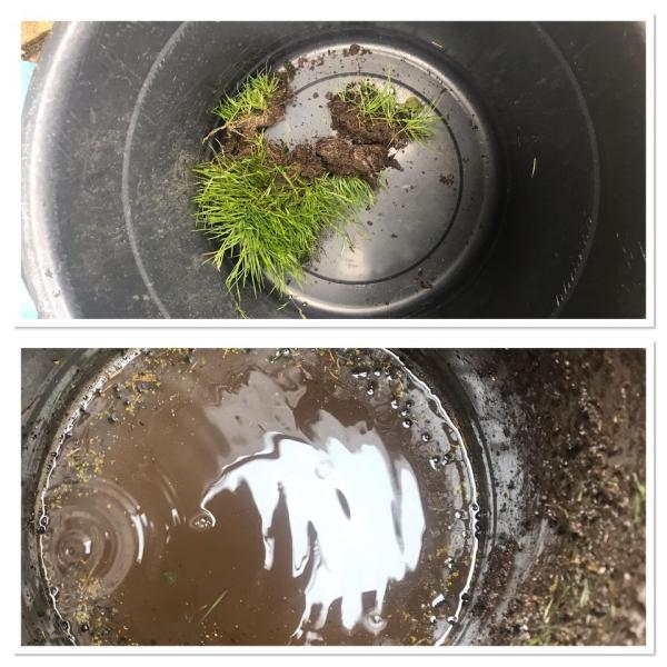 Cornwall Gutter Cleaning