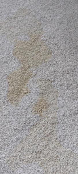 Top Notch Cleaning Services