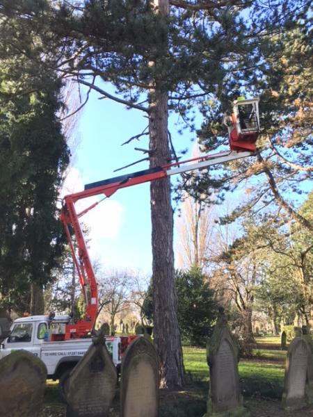 Oakdale NE Ltd Tree Surgeons